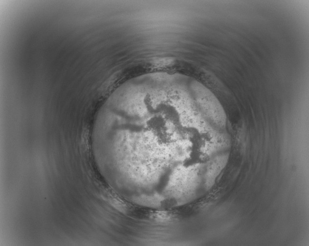 X0000066950565200604142052