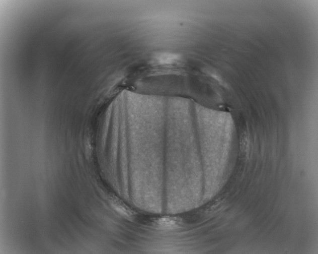 X0000066950566200604142052