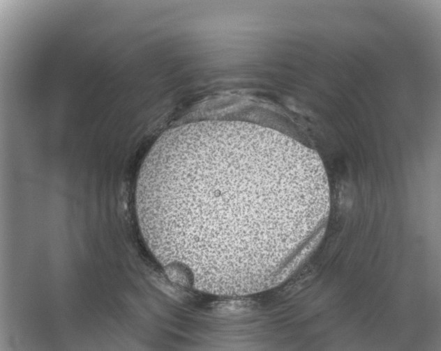 X0000066950567200604142052