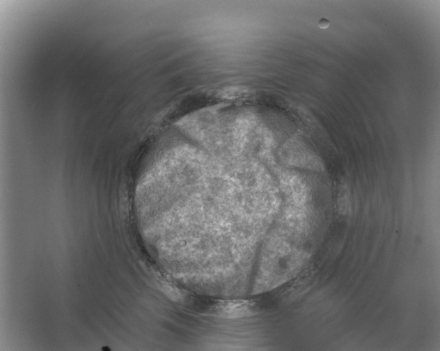 X0000066950569200604142052