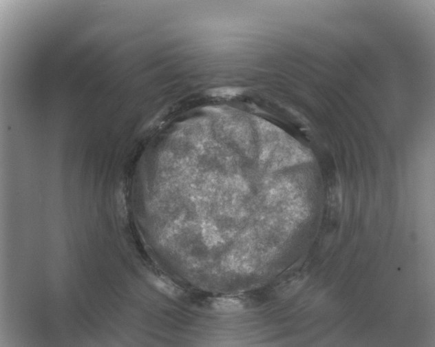 X0000066950572200604142052