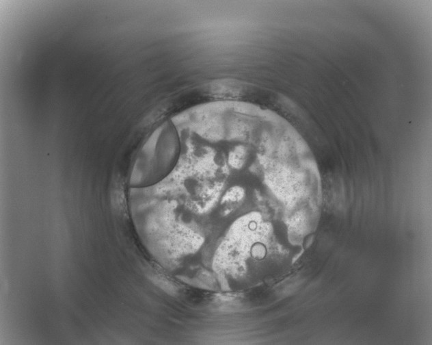 X0000066950573200604142052