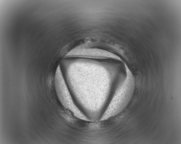 X0000066950574200604142052