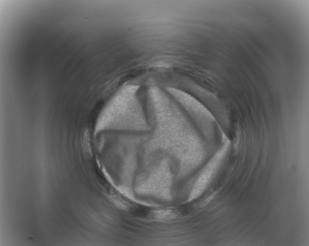 X0000066950575200604142052