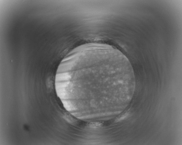 X0000066950576200604142052