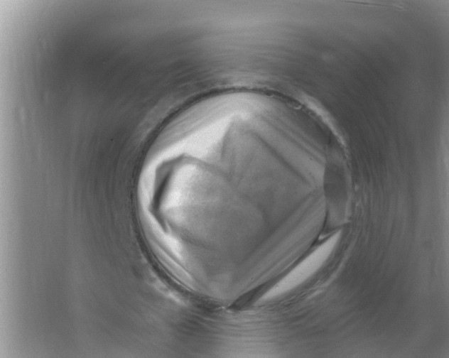 X0000066950577200604142052