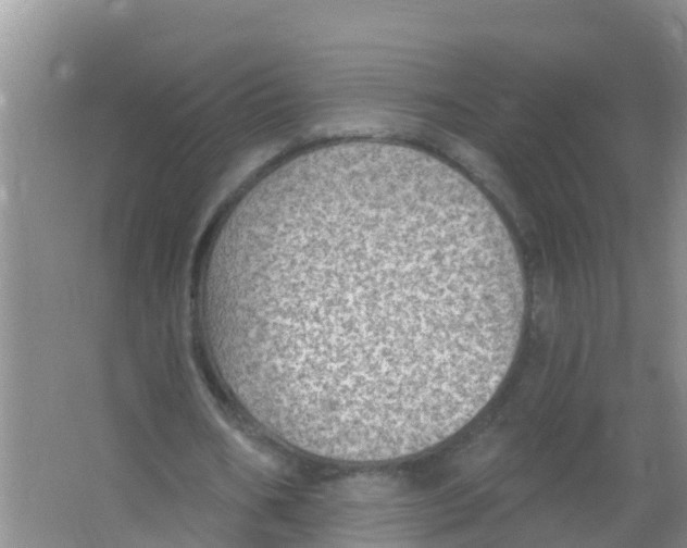 X0000066950578200604142052