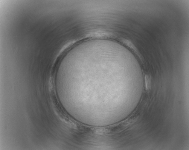 X0000066950579200604142052