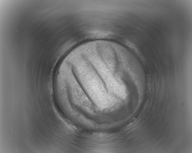 X0000066950582200604142051