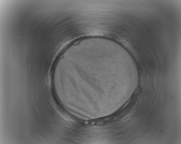 X0000066950584200604142051