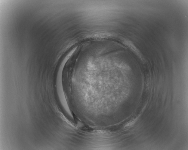 X0000066950585200604142051