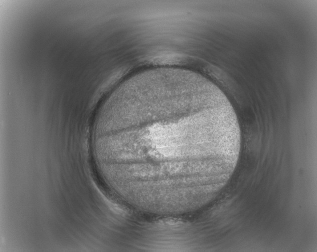 X0000066950586200604142051