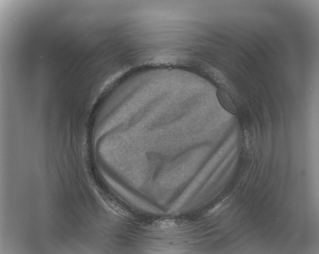 X0000066950588200604142051