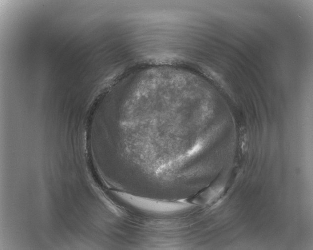 X0000066950589200604142051