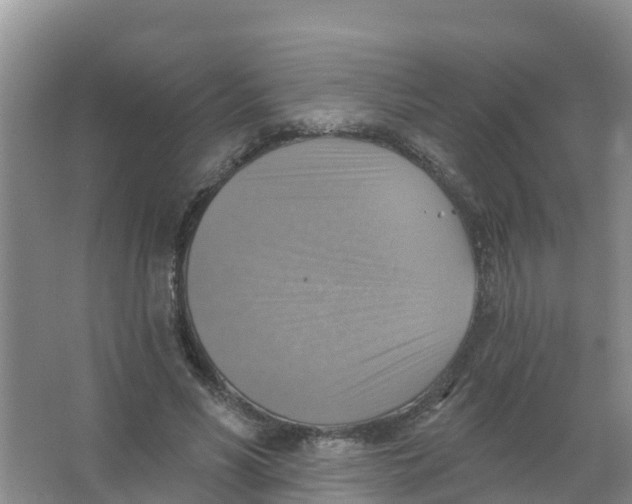 X0000066950590200604142051