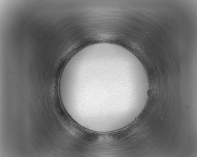 X0000066950591200604142051