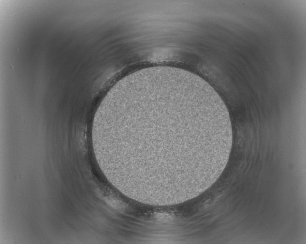 X0000066950592200604142051