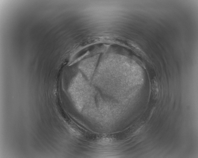 X0000066950593200604142051