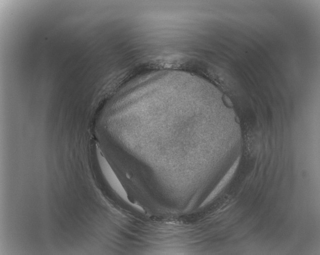 X0000066950594200604142051