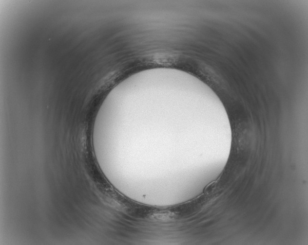 X0000066950595200604142051