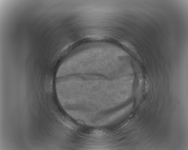 X0000066950596200604142051