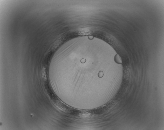 X0000066950598200604142051