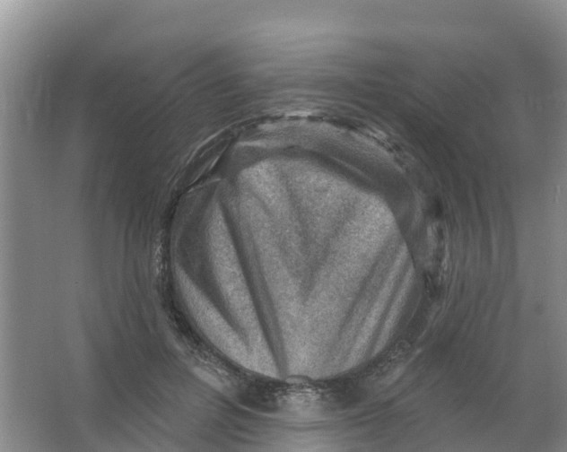 X0000066950600200604142051