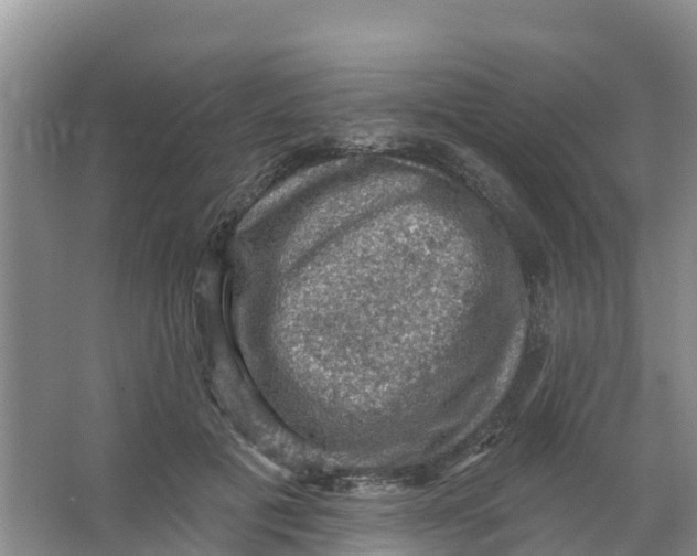 X0000066950601200604142051