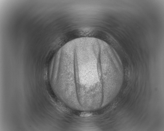 X0000066950602200604142051