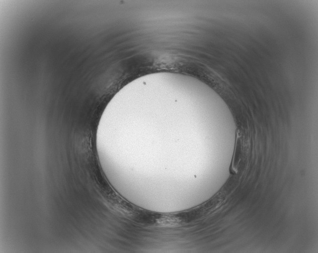 X0000066950603200604142051