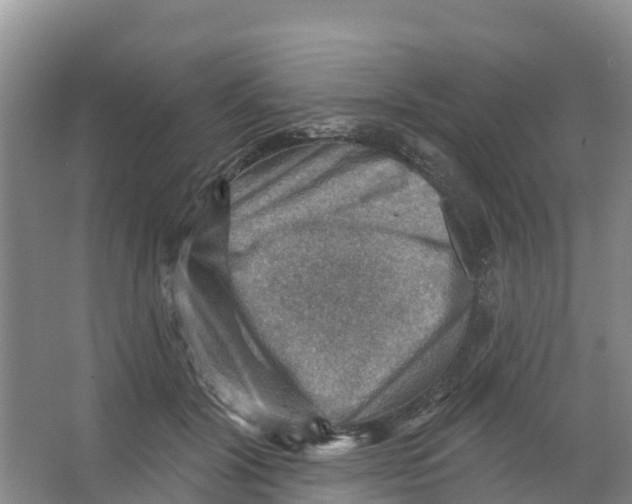 X0000066950604200604142051