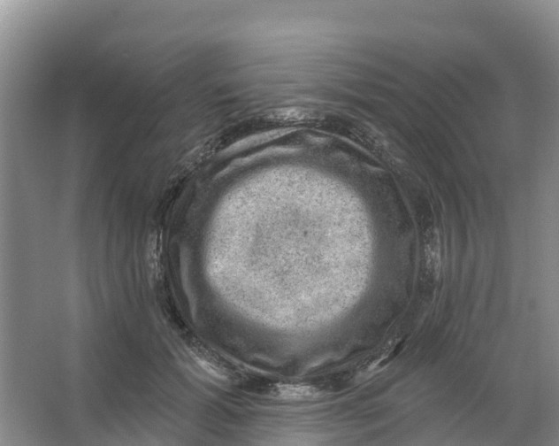 X0000066950605200604142051