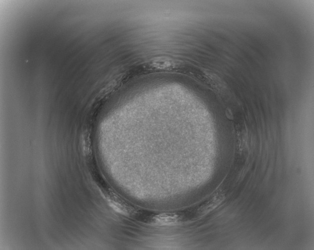 X0000066950606200604142051