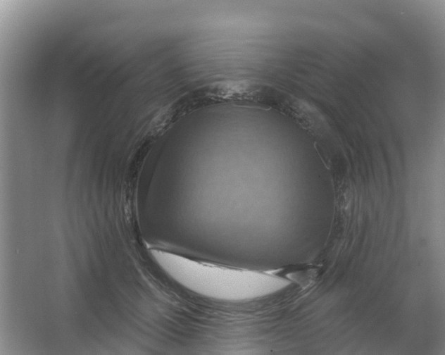 X0000066950607200604142051