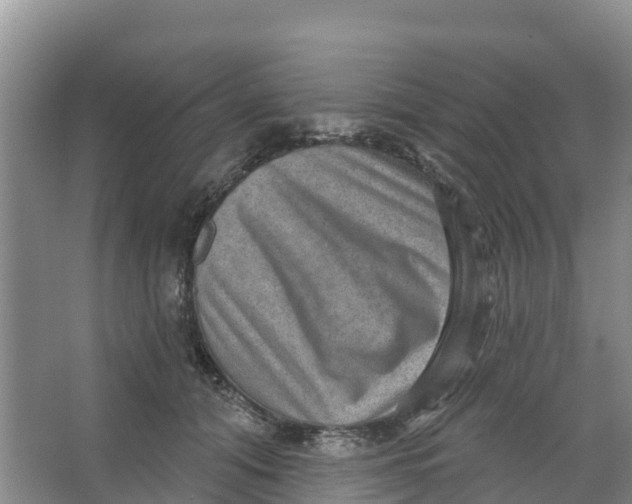 X0000066950608200604142051