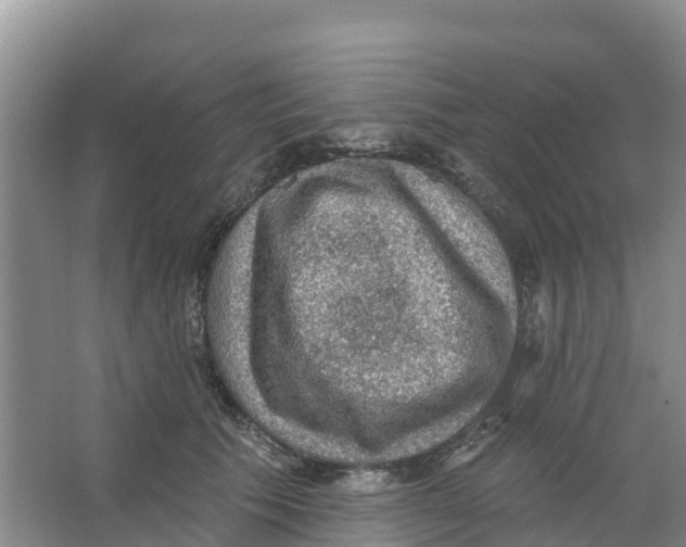 X0000066950609200604142051