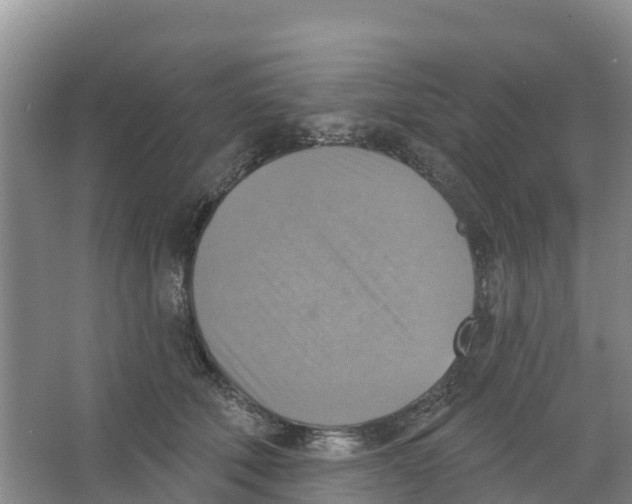 X0000066950610200604142051