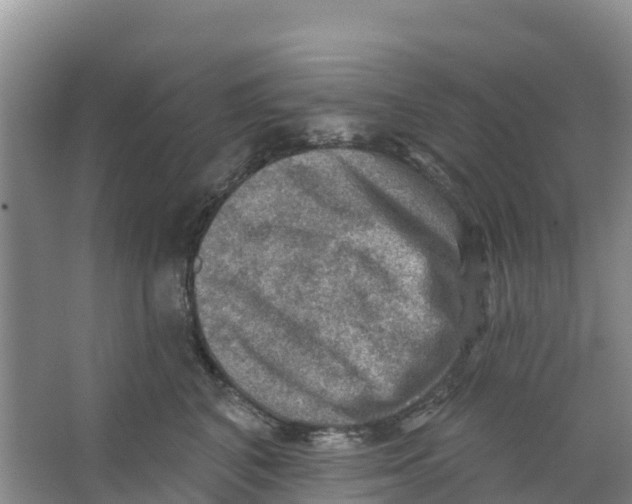 X0000066950616200604142051