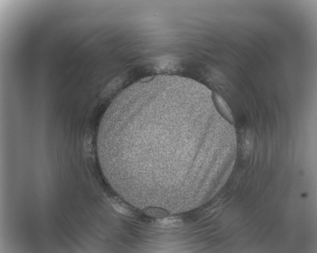 X0000066950619200604142051