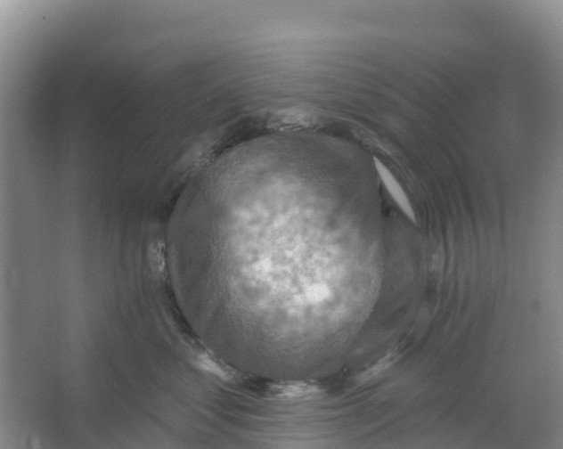 X0000066950621200604142051