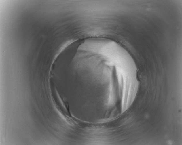 X0000066950626200604142050