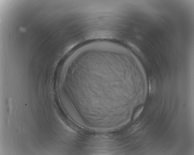 X0000066950627200604142050