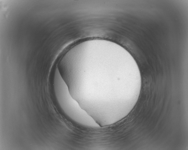 X0000066950628200604142050