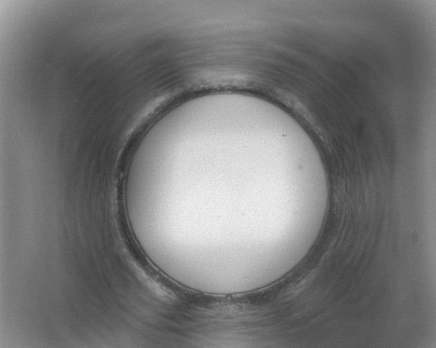 X0000066950629200604142050