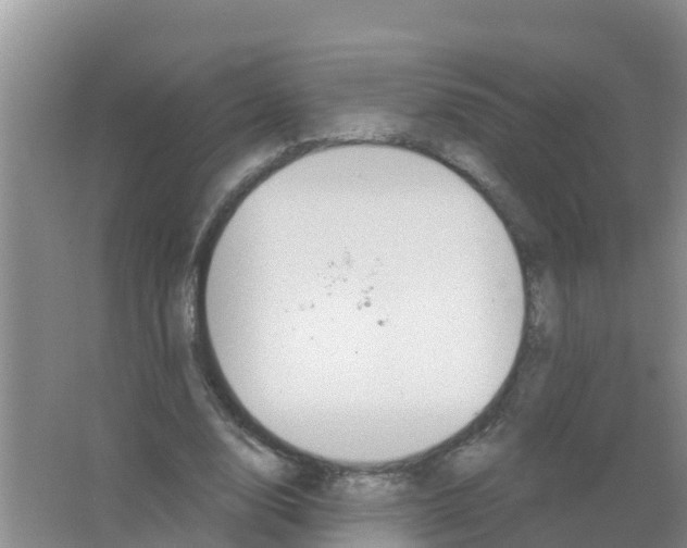 X0000066950632200604142050