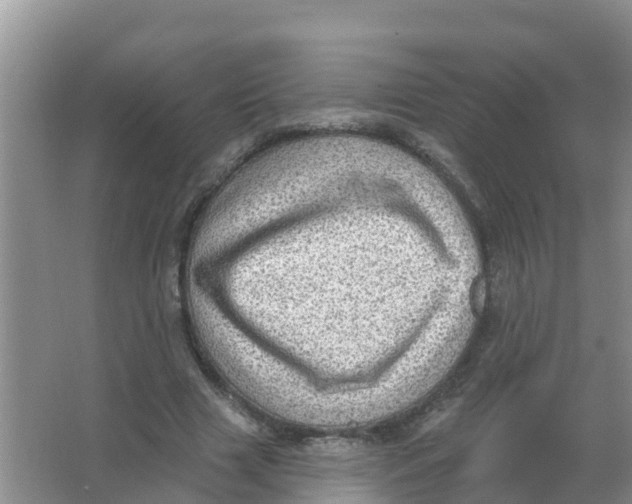 X0000066950633200604142050