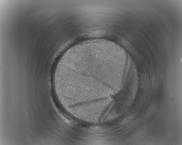 X0000066950634200604142050