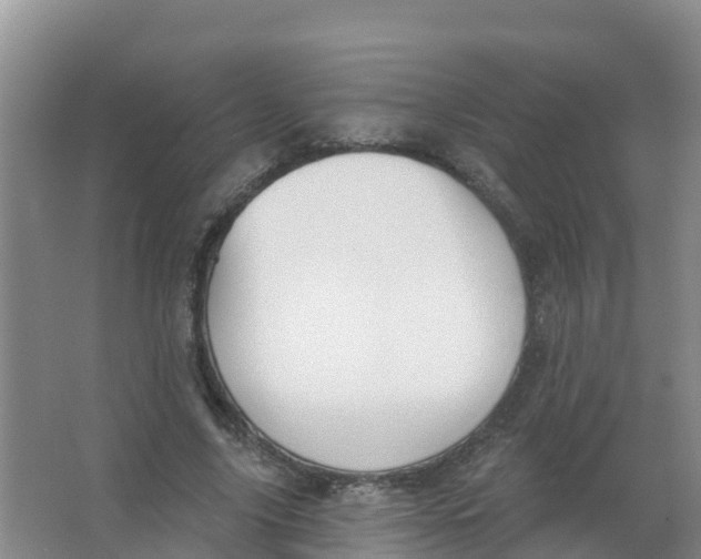 X0000066950635200604142050