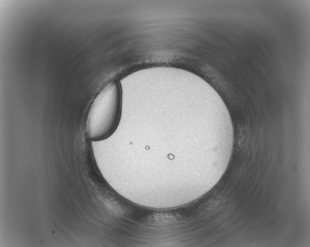 X0000066950636200604142050