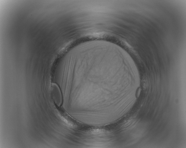 X0000066950637200604142050